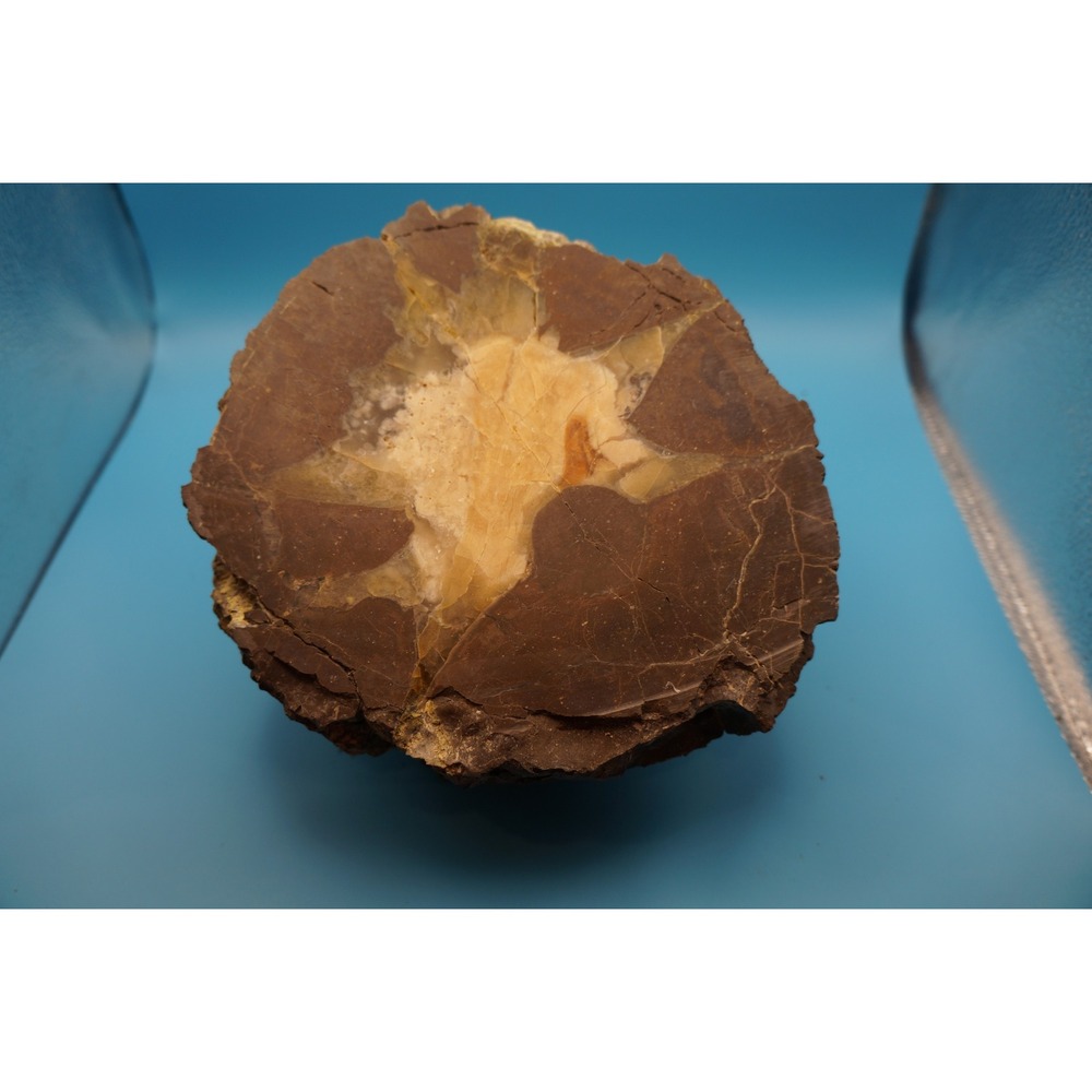 Oregon Thunderegg Agate Geode Polished Specimen 9lb 3oz Star Pattern 7.5 Inch
